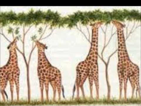 Essay on an organism that is not extinct