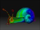 Snail