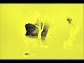 Honey Soundsystem Loop for Havey Milk Movie Wrap Party