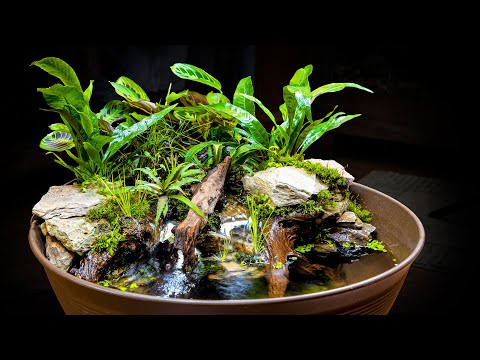 YouTube reptile video