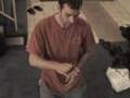 scolopendra subspinipes handling