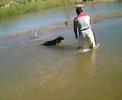 Pantera Aqu�tica kkkk