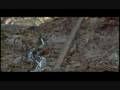 videos de Ace Ventura When Nature Calls~Slinky