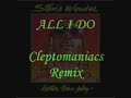 stevie wonder - all i do cleptomaniacs remix