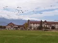 Abbazia di Staffarda