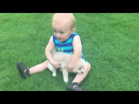 Bella Luna loves her family
