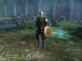 Oblivion Killing Spree Oblivion Killing Spree