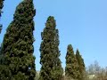 Plot for sale in Greece, Kalymnos island