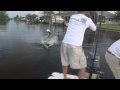 Tarpon Derby SW Florida, Boca Grande, Sanibel, Captiva!