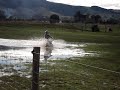 Molly getting wet