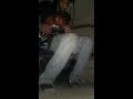 L.O.R. (song for Mother Nature)