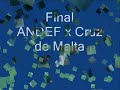 Voleibol sentado