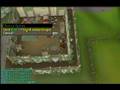 Runescape Summoning Insanity
