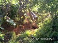 Click here to watch this video IMAG0034.AVI