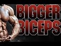 How To Build Bigger Biceps with the Athlean X Biceps Blast