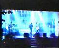 White Noise - Rock\