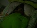fam�lia bioFX - \" A Luisa do Lago Ness\"