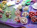 acatlan de osorio puebla