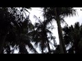 I uploaded a @YouTube video http://t.co/8XGHiMef Bats of Sydney 6