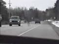 Mr. Deer Stunt