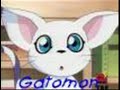 Galeria digimon Galeria digimon