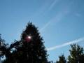 CHEMTRAILS EVERYWHERE!!!