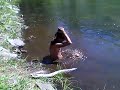 Ted and the Lake Scum
