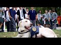 policia de investigaciones de chile  pich