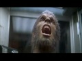 werewolf transformations 1- 