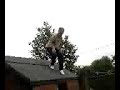 trampoline daisley goes right over the hedge trampoline daisley goes right over the hedge