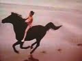 Black Stallion