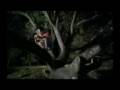Ang Pamana:The Inheritance (Flicker MTV)