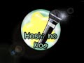 Banda Hoshi No Koe Banda Hoshi No Koe