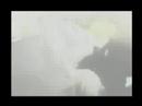 Bleach How Ichigo Became A Hero Final