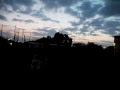 P1010291