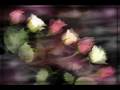 videos de Ugur Arslan  Halil Ibrahim 2008(SIIR)