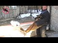 Vyatkin's Gunslinger (11 month) in Shkola-Orlova
