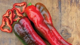 Thunderbolt Hybrid Sweet Pepper