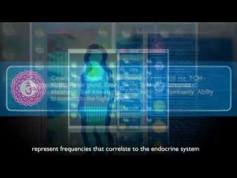 how to assess endocrine system