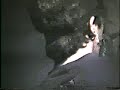 THE ZOLGE - BURNIN\