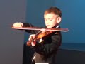 (www.vest.si) VIOLINIST