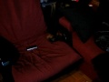 ruta-Zwergpinscher