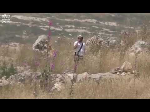 شاهد- جندي يحرق حقول الفلسطينيين في الضفة