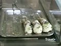 Anthony Bourdain in Sicily part5 Anthony Bourdain in Sicily part5