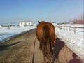 flare c_0001.wmv