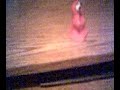 Crazy play-doh