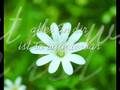 Liebesbrief mal anders