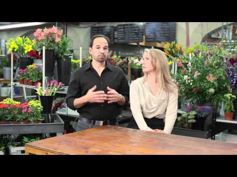 Gone Google - Manny and Clara Gonzales started out small when they opened Tiger Lily, a local flower shop in Charleston, South Carolina. Today, they have grown to be recog...
