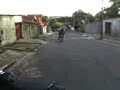 gordim  no cabritu