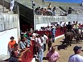 ndh encerro 5